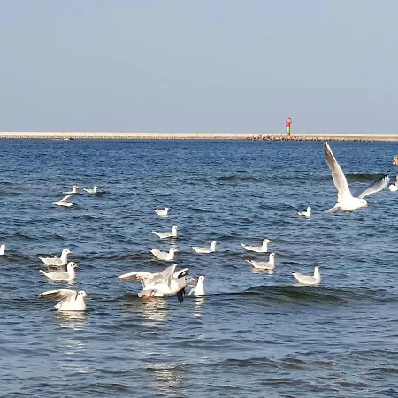 Perfektmari Appartamento Świnoujście