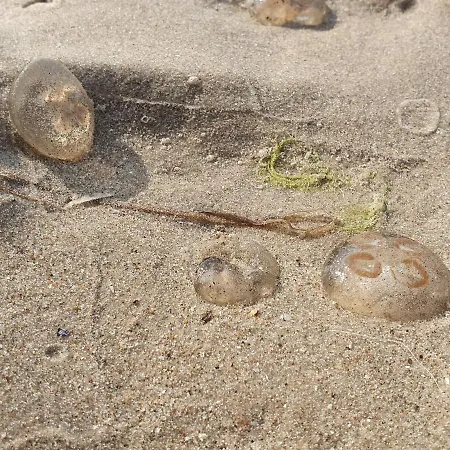 Perfektmari Świnoujście