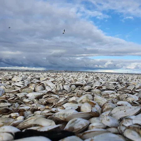 Perfektmari Appartamento