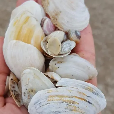 Perfektmari Appartamento *