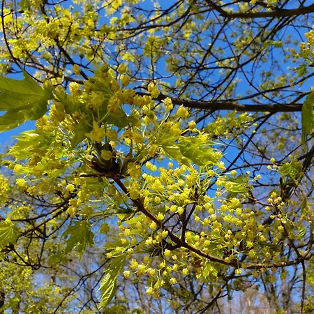 Perfektmari Apartamento Świnoujście