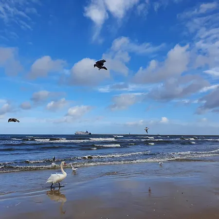 Perfektmari * Świnoujście