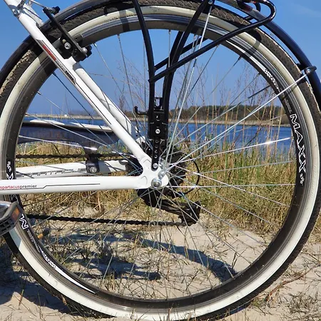 Perfektmari * Świnoujście