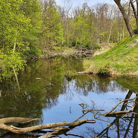 Perfektmari Appartamento