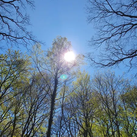 Apartamento Perfektmari