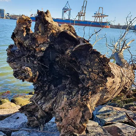 Appartamento Perfektmari *