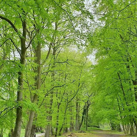 Appartamento Perfektmari Świnoujście