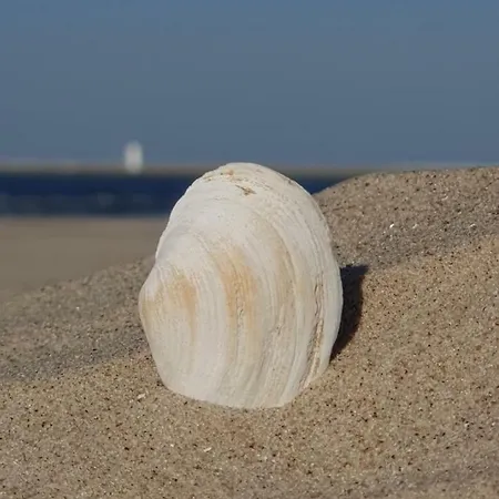 Appartamento Perfektmari *