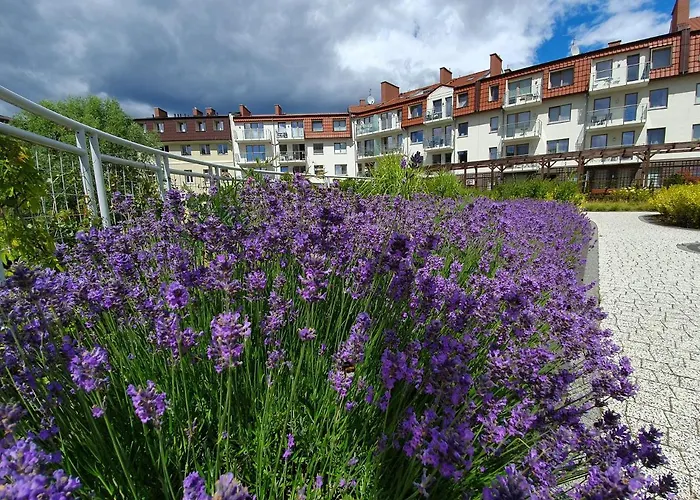 Perfektmari Swinemünde