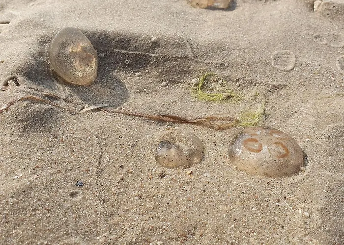 Perfektmari Swinemünde