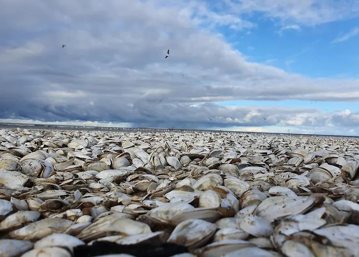 Perfektmari Apartment