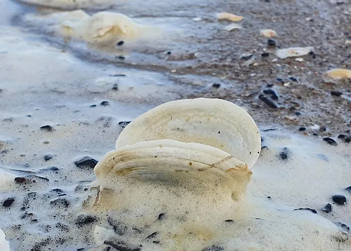 Apartment Perfektmari *