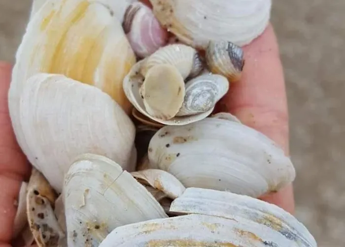 Perfektmari Apartment *