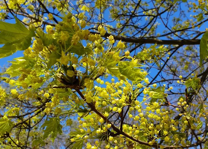 Perfektmari Apartment Swinemünde