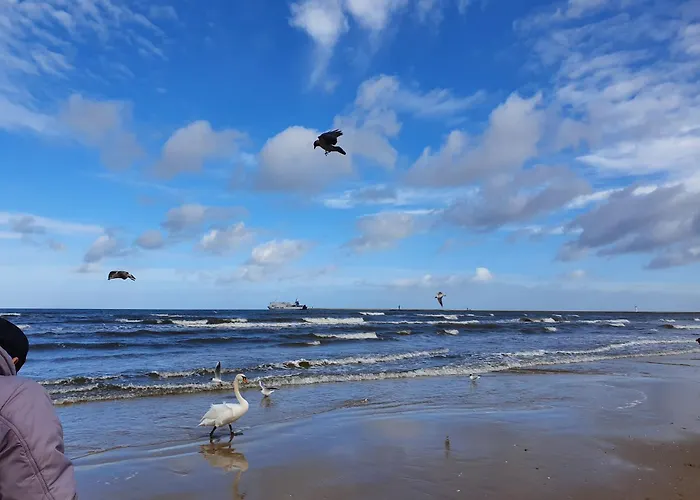 Perfektmari * Świnoujście