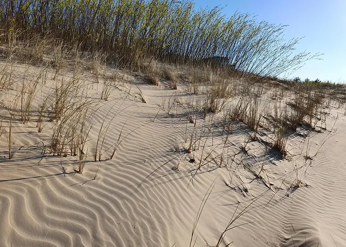 Apartment Perfektmari *