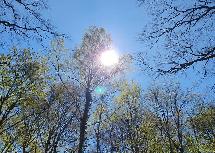 Apartment Perfektmari