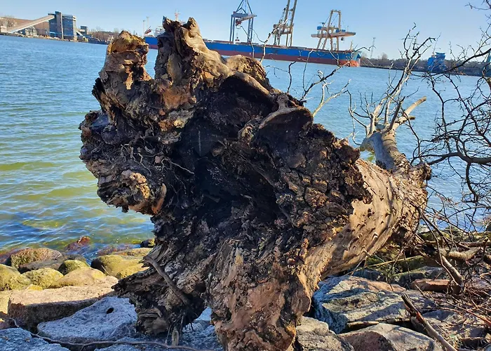 Apartment Perfektmari *