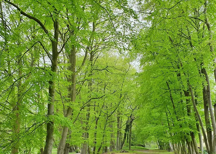 Lägenhet Perfektmari Świnoujście