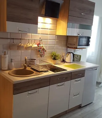 Apartment Perfektmari *