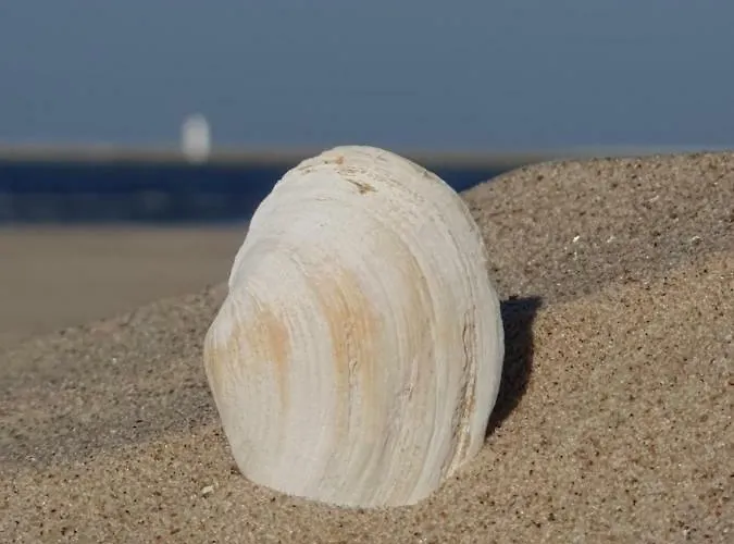 Apartment Perfektmari *